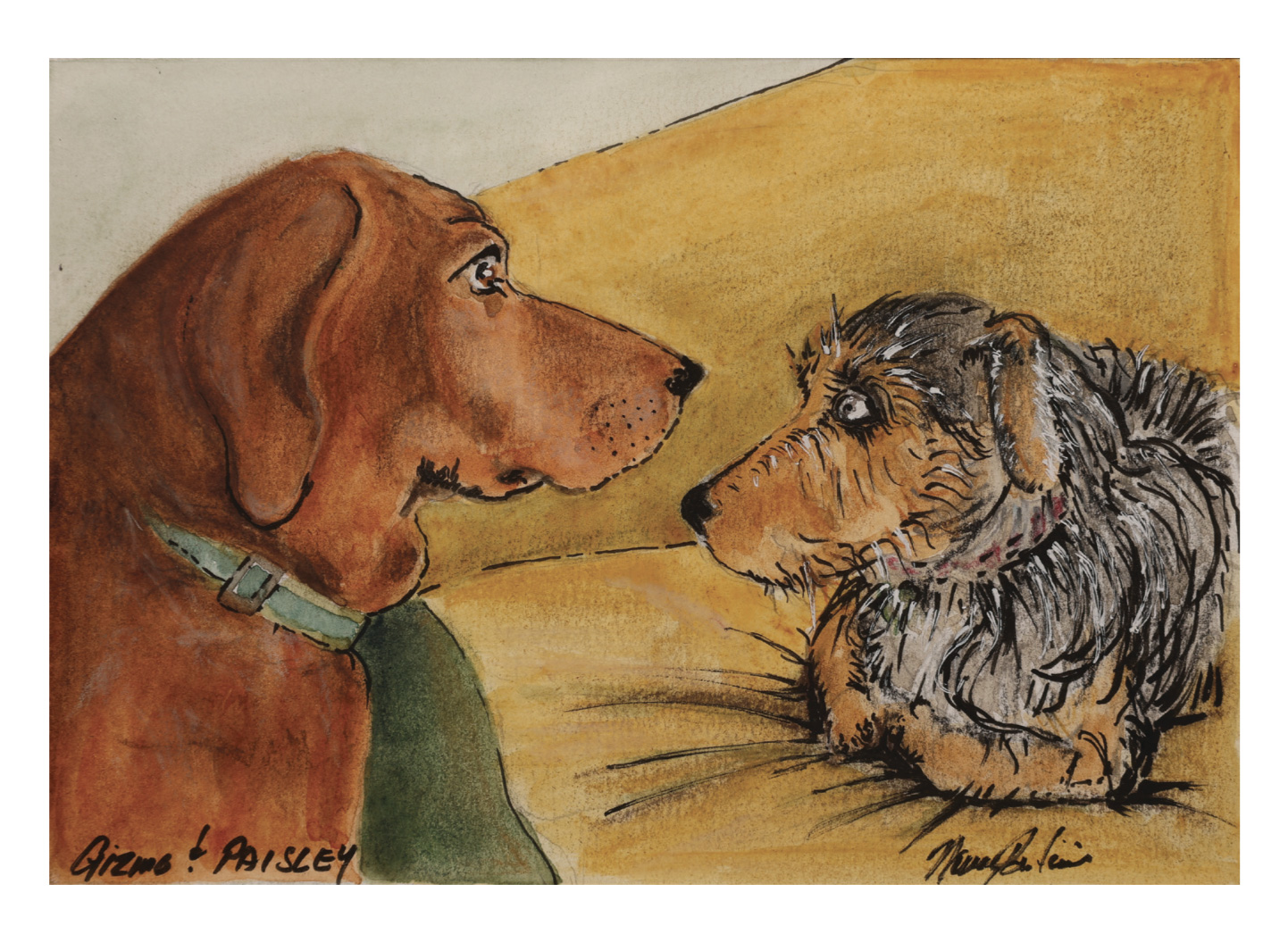 Gizmo and Paizley by Nancy Pontius