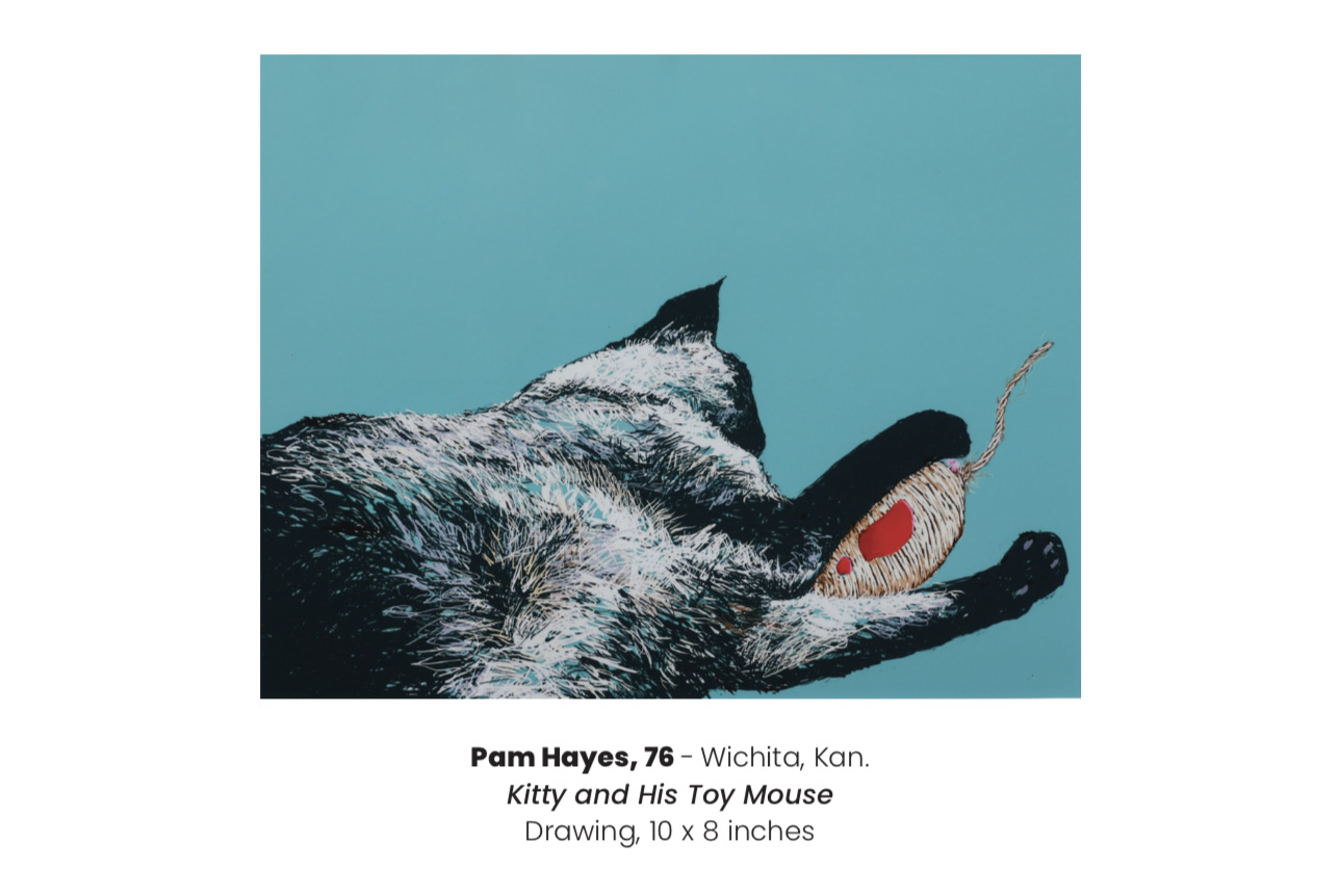 Kitty and His Toy Mouse by Pam Hayes